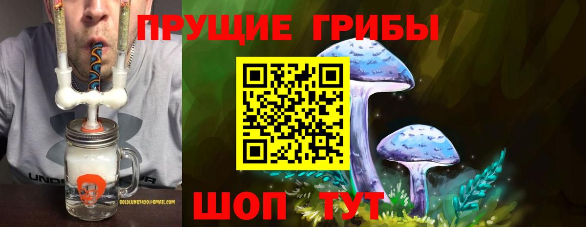 Галлюциногенные грибы Psilocybine cubensis  Вход с VPN  цены наркотик  Орехово-Зуево 